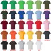 t shirt color chart - Bee and PuppyCat Store